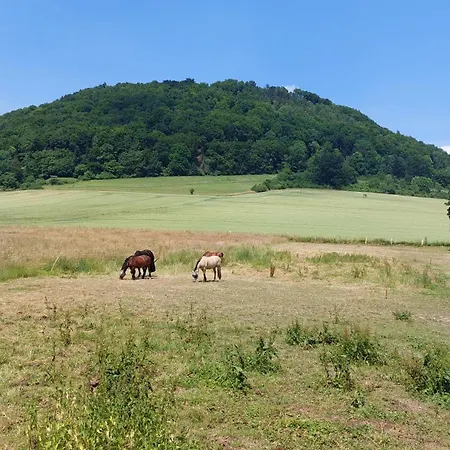 Ferienapartment Mw 2b Weserbergland An Der Weser Inkl Kueche, Waesche, Lan, Parkplatz, Self Checkin ヘクスター