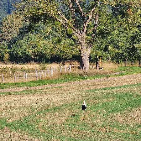 Ferienapartment Mw 2b Weserbergland An Der Weser Inkl Kueche, Waesche, Lan, Parkplatz, Self Checkin Höxter