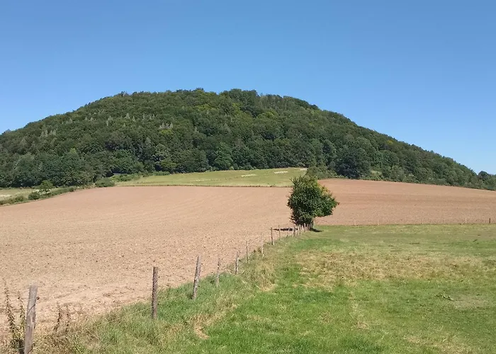 Ferienapartment Mw 2b Weserbergland An Der Weser Inkl Kueche, Waesche, Lan, Parkplatz, Self Checkin 3*