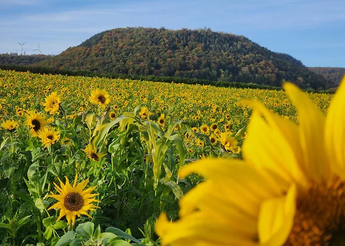 Πανσιόν Ferienapartment Mw 2b Weserbergland An Der Weser Inkl Kueche, Waesche, Lan, Parkplatz, Self Checkin 3*