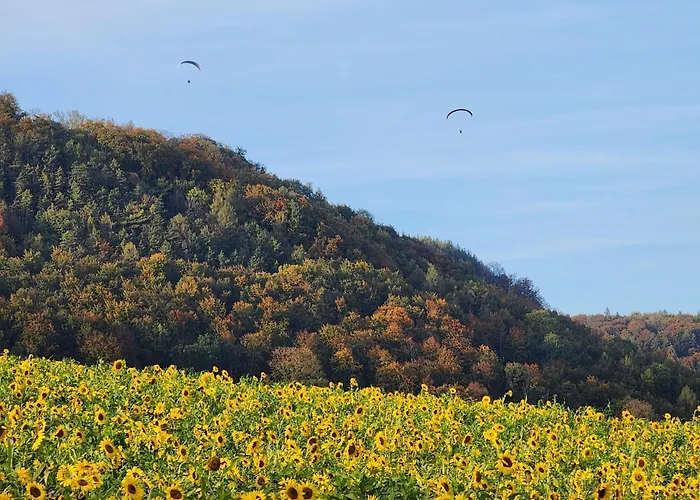 Ferienapartment Mw 2b Weserbergland An Der Weser Inkl Kueche, Waesche, Lan, Parkplatz, Self Checkin 3* Höxter