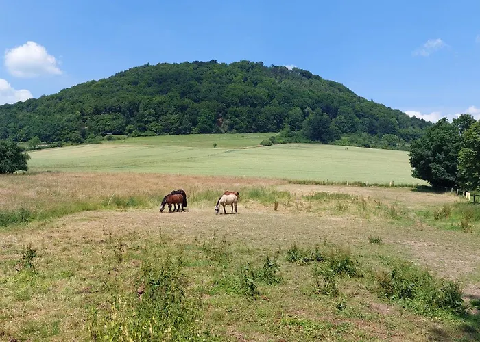Ferienapartment Mw 2b Weserbergland An Der Weser Inkl Kueche, Waesche, Lan, Parkplatz, Self Checkin Höxter