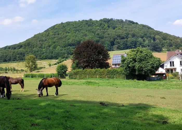 Ferienapartment Mw 2b Weserbergland An Der Weser Inkl Kueche, Waesche, Lan, Parkplatz, Self Checkin Πανσιόν 3*