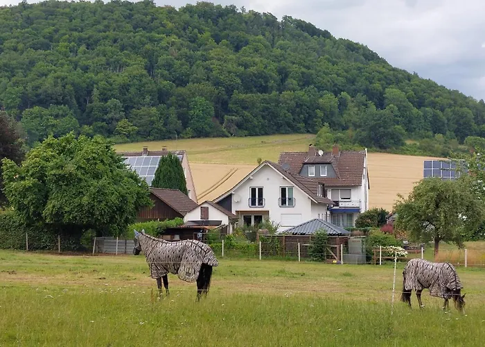 Ferienapartment Mw 2b Weserbergland An Der Weser Inkl Kueche, Waesche, Lan, Parkplatz, Self Checkin Höxter