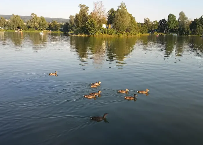 Πανσιόν Ferienapartment Mw 2b Weserbergland An Der Weser Inkl Kueche, Waesche, Lan, Parkplatz, Self Checkin 3*