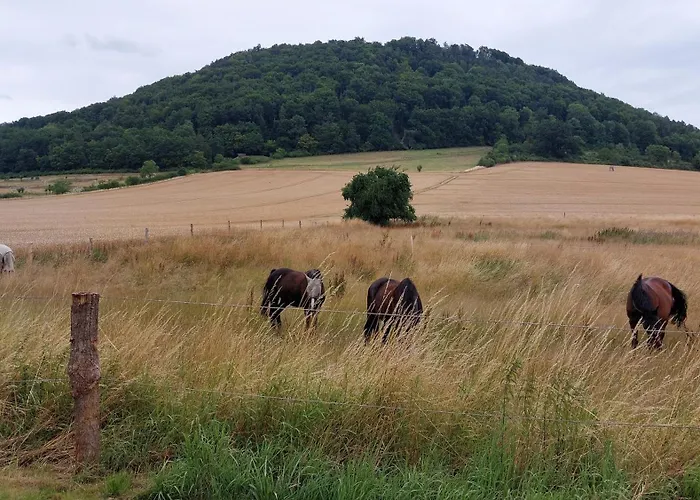 Πανσιόν Ferienapartment Mw 2b Weserbergland An Der Weser Inkl Kueche, Waesche, Lan, Parkplatz, Self Checkin Höxter