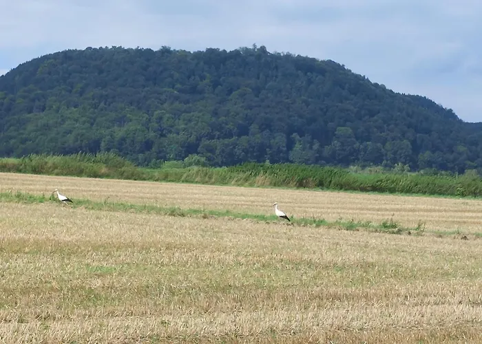 Πανσιόν Ferienapartment Mw 2b Weserbergland An Der Weser Inkl Kueche, Waesche, Lan, Parkplatz, Self Checkin Höxter