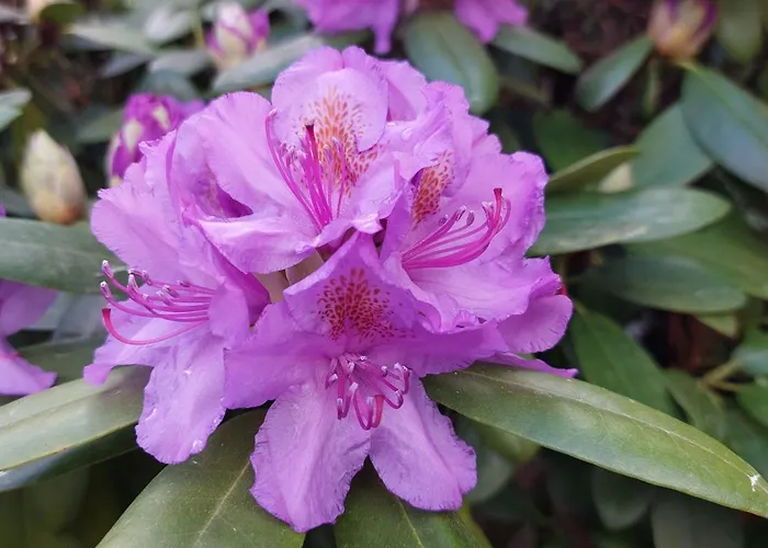 Πανσιόν Ferienapartment Mw 2b Weserbergland An Der Weser Inkl Kueche, Waesche, Lan, Parkplatz, Self Checkin 3*