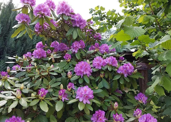 Πανσιόν Ferienapartment Mw 2b Weserbergland An Der Weser Inkl Kueche, Waesche, Lan, Parkplatz, Self Checkin Höxter