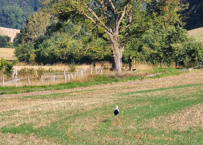 Ferienapartment Mw 2b Weserbergland An Der Weser Inkl Kueche, Waesche, Lan, Parkplatz, Self Checkin Höxter